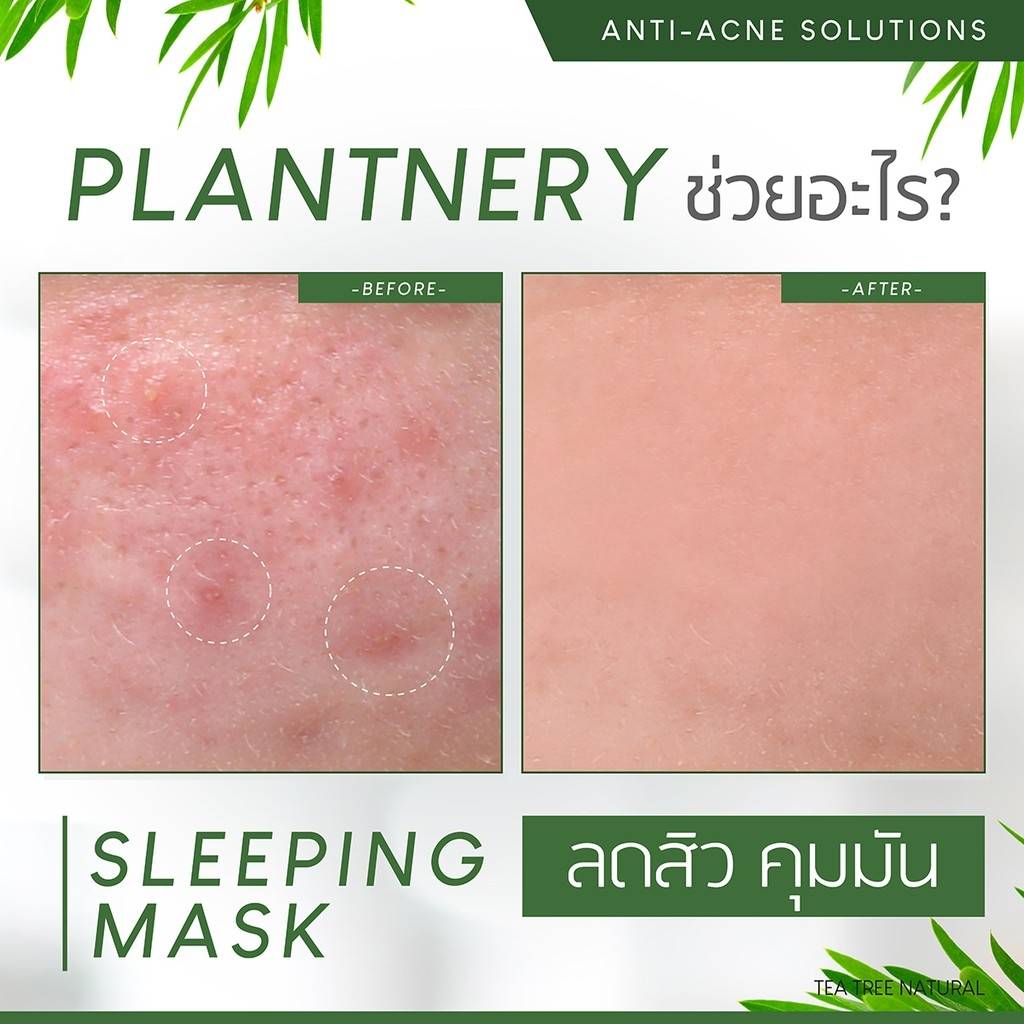 Plantnery Tea Tree Sleeping Mask